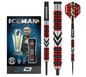 Red Dragon Gerwyn Price Firebird Red Dragon Gerwyn Price Firebird