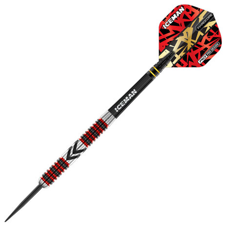 Red Dragon Gerwyn Price Firebird Red Dragon Gerwyn Price Firebird