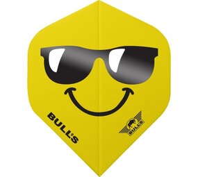 Bulls Smiley Sunglasses
