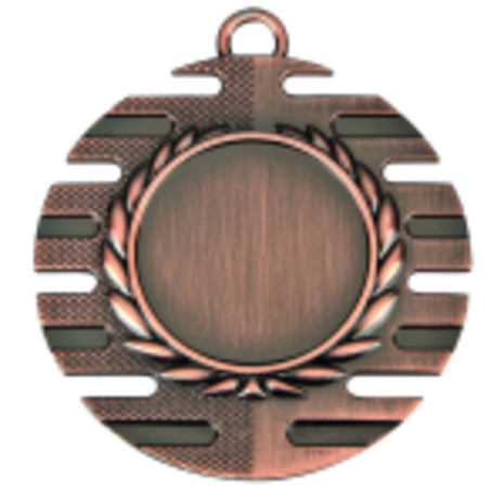 Sportprijzen Leiden Medaille ME.057 Sportprijzen Leiden Medaille ME.057