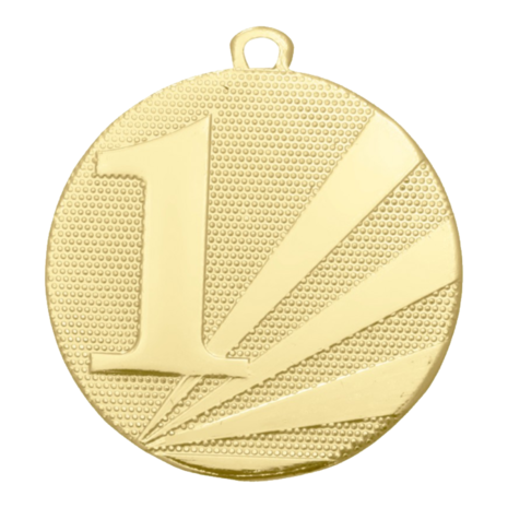 Sportprijzen Leiden Medaille Nummer 1,2,3 Sportprijzen Leiden Medaille Nummer 1,2,3