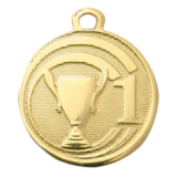 Sportprijzen Leiden Sport Medaille Sportprijzen Leiden Sport Medaille