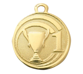 Sportprijzen Leiden Sport Medaille Sportprijzen Leiden Sport Medaille