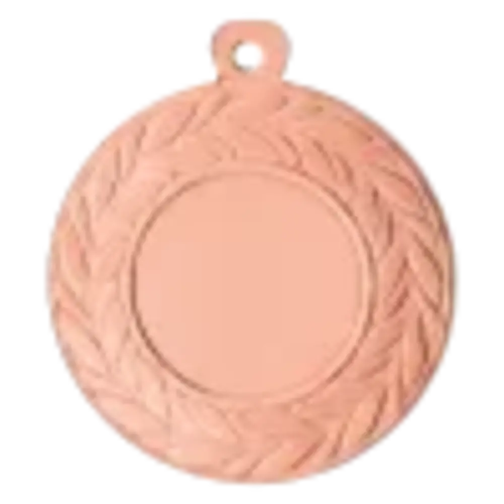 Sportprijzen Leiden Medaille D10 Sportprijzen Leiden Medaille D10