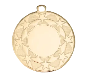 Sportprijzen Leiden Medaille BS.MI Sportprijzen Leiden Medaille BS.MI