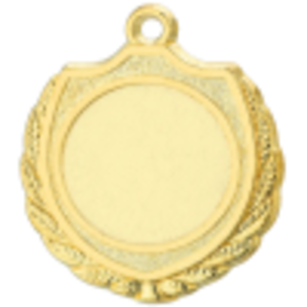 Sportprijzen Leiden Medaille D12A Sportprijzen Leiden Medaille D12A