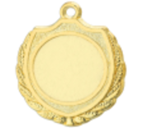 Sportprijzen Leiden Medaille D12A Sportprijzen Leiden Medaille D12A