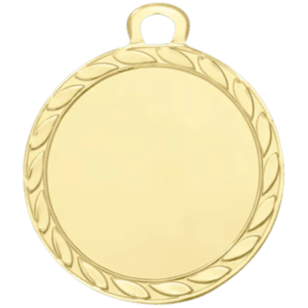 Sportprijzen Leiden Medaille DI3206 Sportprijzen Leiden Medaille DI3206