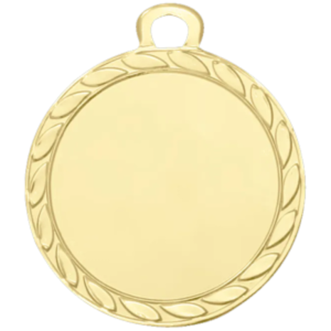 Sportprijzen Leiden Medaille DI3206 Sportprijzen Leiden Medaille DI3206