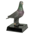 Sport Trofee - Duif Sport Trofee - Duif