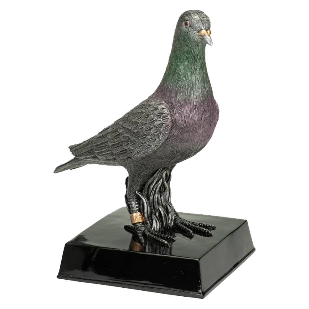 Sport Trofee - Duif afbeelding