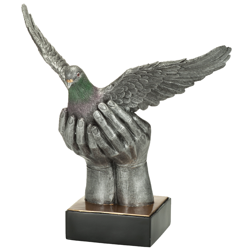 Sport Trofee - Duif in Handen afbeelding
