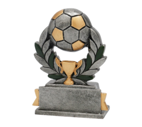 Sportprijzen Leiden Sport Trofee - Voetbal Bal Sportprijzen Leiden Sport Trofee - Voetbal Bal