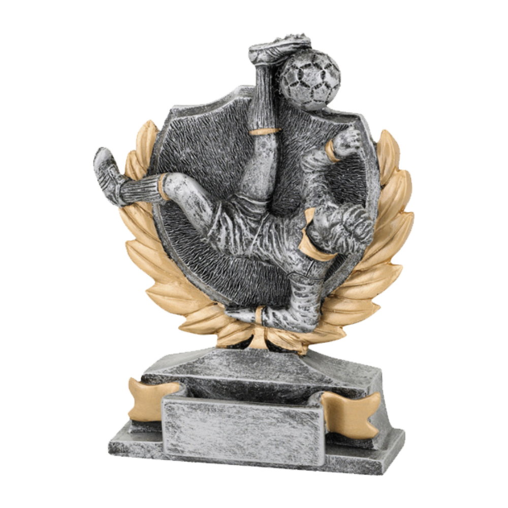 Sportprijzen Leiden Sport Trofee - Voetbal Omhaal