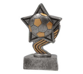 Sportprijzen Leiden Sport Trofee - Voetbal Ster Sportprijzen Leiden Sport Trofee - Voetbal Ster