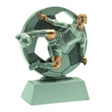 Sportprijzen Leiden Sport Trofee - Voetballende Heer Sportprijzen Leiden Sport Trofee - Voetballende Heer