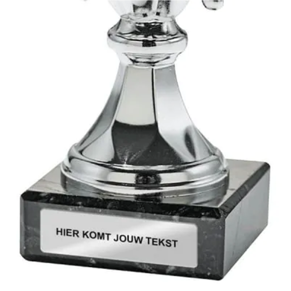 Sportprijzen Leiden Sport Trofee Karper Sportprijzen Leiden Sport Trofee Karper