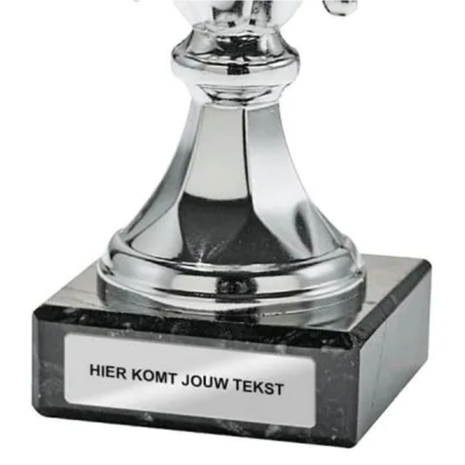 Sportprijzen Leiden Sport Trofee Karper Sportprijzen Leiden Sport Trofee Karper