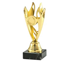 Sportprijzen Leiden Trofee Set.351 Sportprijzen Leiden Trofee Set.351