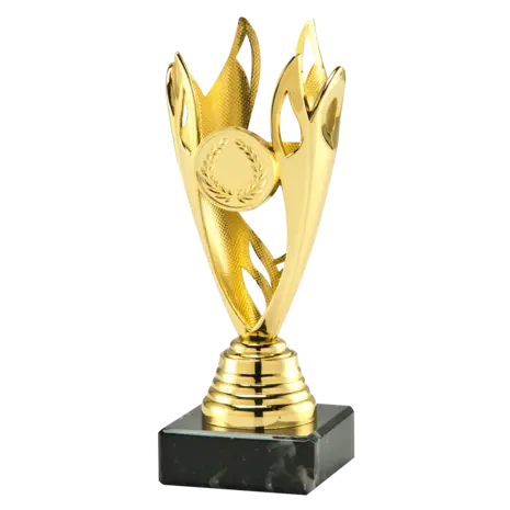 Sportprijzen Leiden Trofee Set.351 Sportprijzen Leiden Trofee Set.351