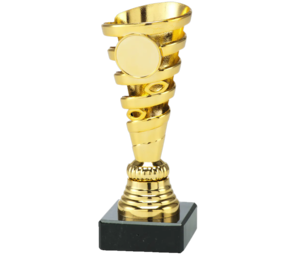 Sportprijzen Leiden Trofee Set.333 Sportprijzen Leiden Trofee Set.333