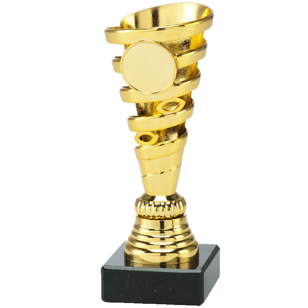 Sportprijzen Leiden Trofee Set.333