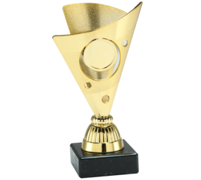 Sportprijzen Leiden Trofee Set.325