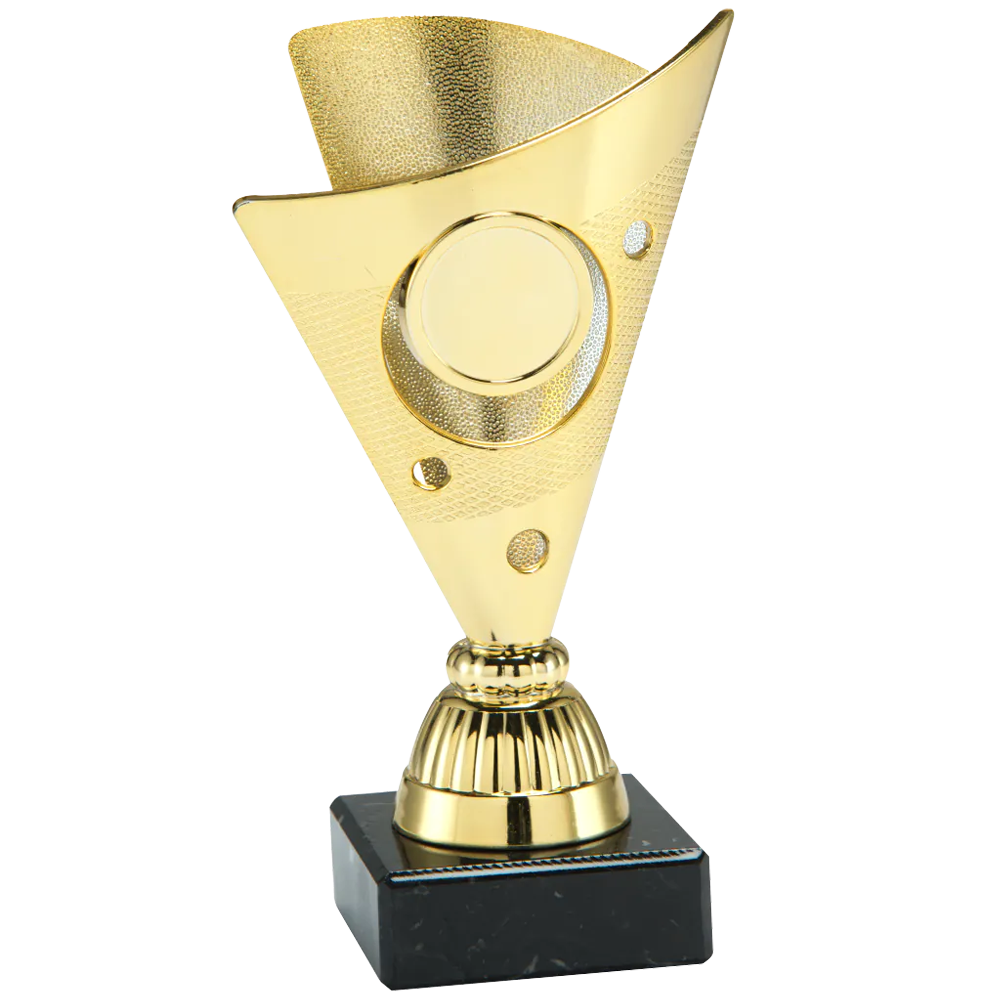 Sportprijzen Leiden Trofee Set.325