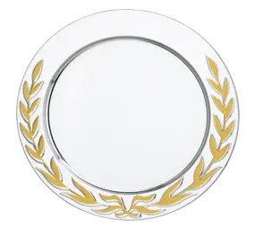 Sportprijzen Leiden Kampioenschaal Jexx Sportprijzen Leiden Kampioenschaal Jexx