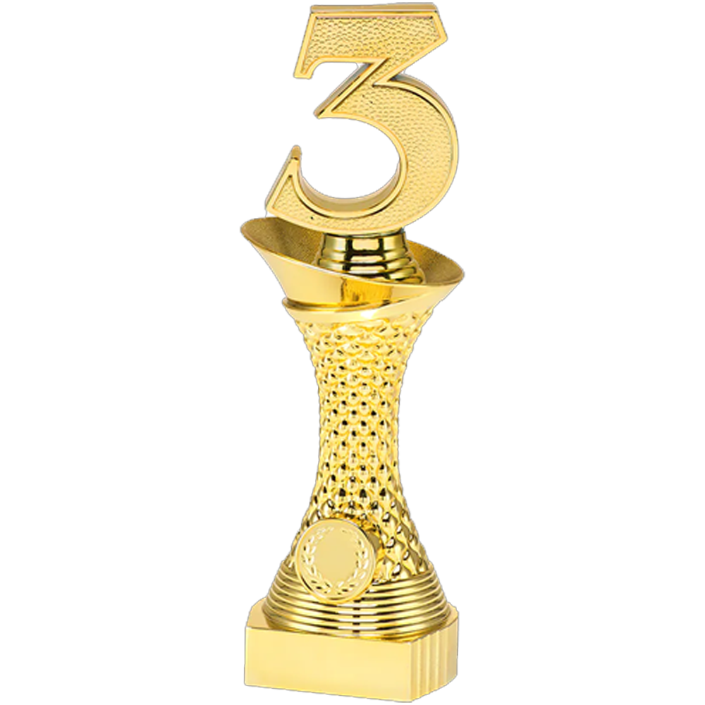 Sportprijzen Leiden Trofee Nummer 1, 2, 3