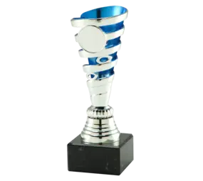 Sportprijzen Leiden Trofee SET.348 Sportprijzen Leiden Trofee SET.348