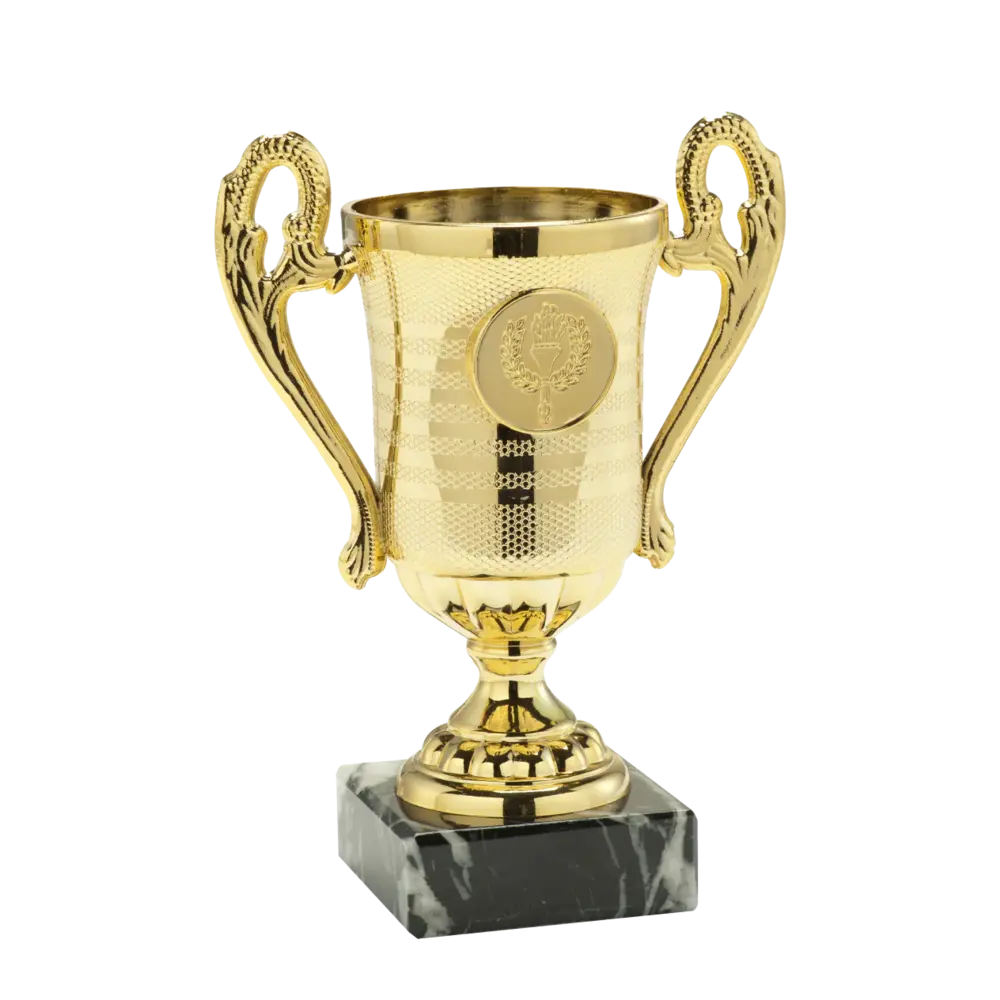 Sportprijzen Leiden Trofee SET.306 Sportprijzen Leiden Trofee SET.306