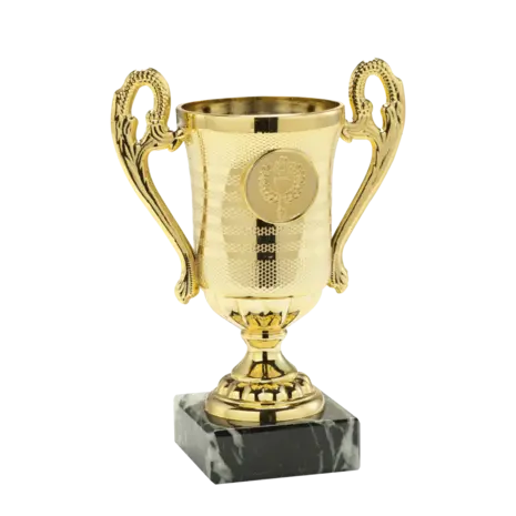 Sportprijzen Leiden Trofee SET.306 Sportprijzen Leiden Trofee SET.306