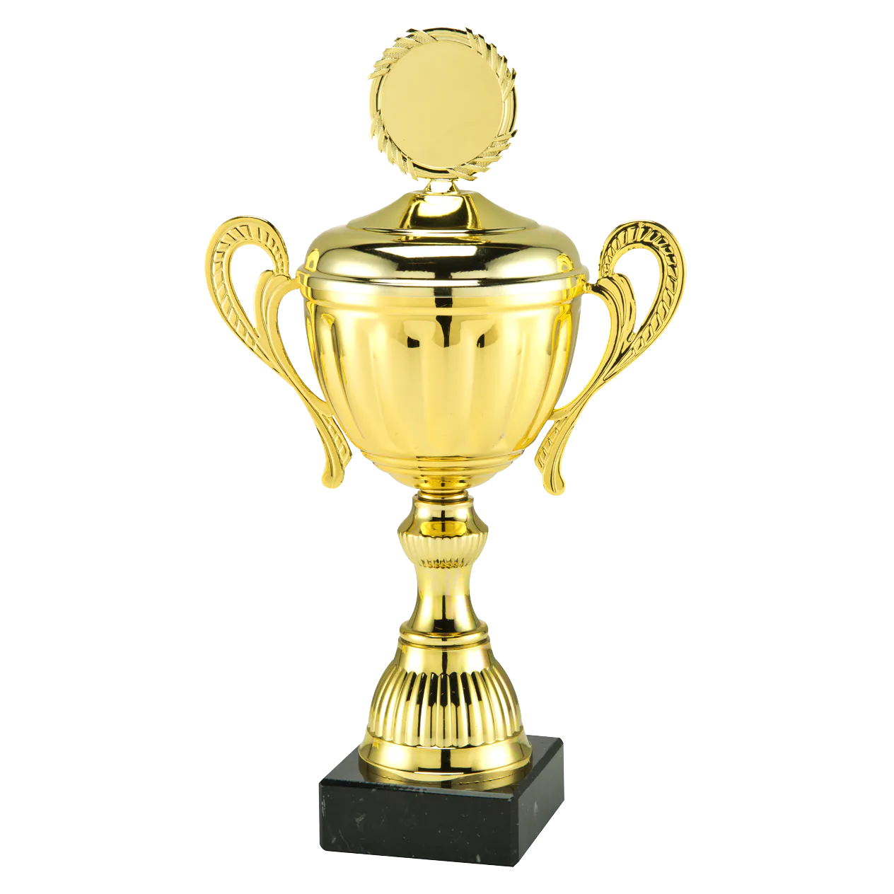 Sportprijzen Leiden Trofee MT.142