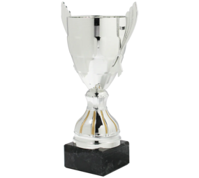Sportprijzen Leiden Trofee Serie30 Sportprijzen Leiden Trofee Serie30