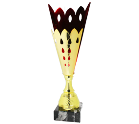 Sportprijzen Leiden Trofee Serie 45 Sportprijzen Leiden Trofee Serie 45