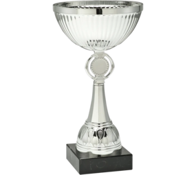 Sportprijzen Leiden Trofee ET.351 Sportprijzen Leiden Trofee ET.351