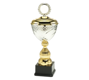 Sportprijzen Leiden Trofee L1710 Sportprijzen Leiden Trofee L1710