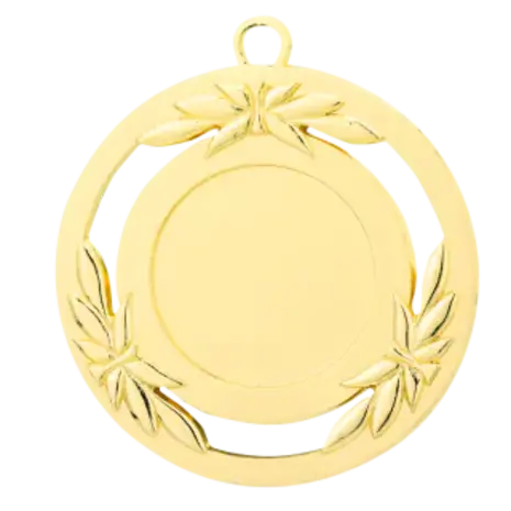 Sportprijzen Leiden Medaille D79A Sportprijzen Leiden Medaille D79A