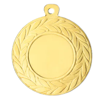 Medaille D10 afbeelding