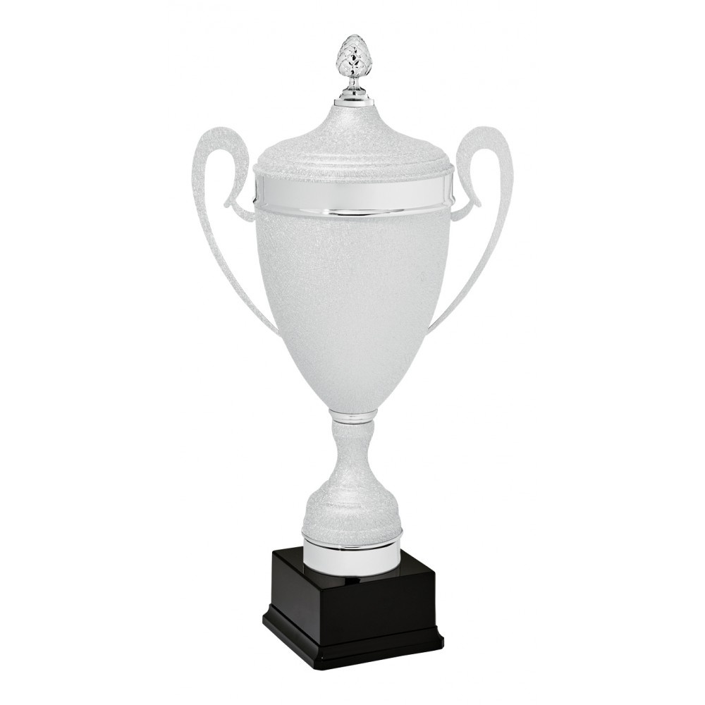 Sportprijs AX9100 afbeelding