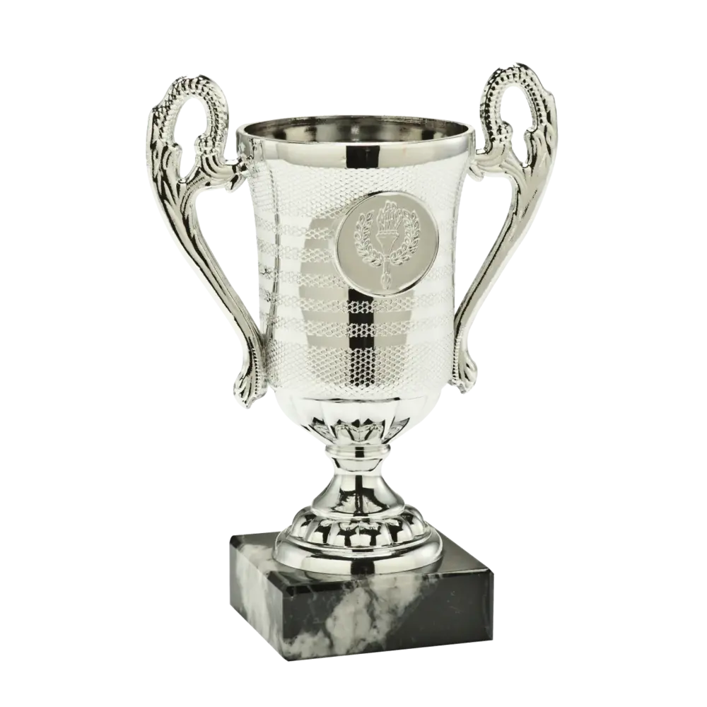 Sportprijzen Leiden Trofee SET.306 Sportprijzen Leiden Trofee SET.306