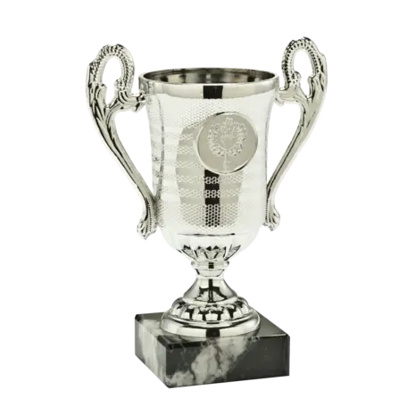 Sportprijzen Leiden Trofee SET.306 Sportprijzen Leiden Trofee SET.306