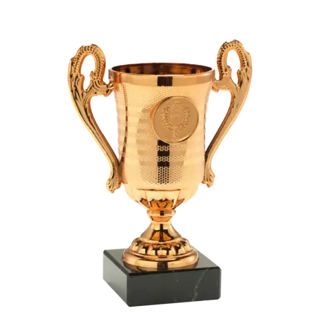 Sportprijzen Leiden Trofee SET.306 Sportprijzen Leiden Trofee SET.306