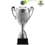 Sportprijzen Leiden Eigen ontwerp Afslag Sportprijzen Leiden Eigen ontwerp Afslag