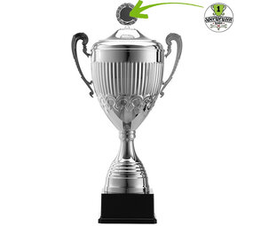 Sportprijzen Leiden Eigen ontwerp Afslag Sportprijzen Leiden Eigen ontwerp Afslag