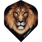 Designa Dart Flights – Lion Designa Dart Flights – Lion