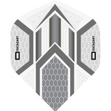 Datadart Dart Flights – Hex Grijs Clear Datadart Dart Flights – Hex Grijs Clear