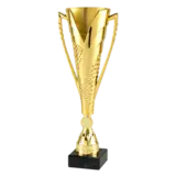 Sportprijzen Leiden Sportprijs ET.448 Goud Sportprijzen Leiden Sportprijs ET.448 Goud