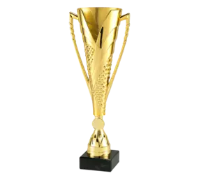 Sportprijzen Leiden Sportprijs ET.448 Goud